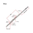 Glarry 16 Keys C Cupronickel Flute Closed Hole Separated E Key Beginners Silver