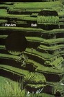 Pan Am Bali 1970 Vintage Airline Travel Poster Print Retro Wall Art