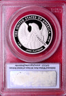 Pcgs Pr-70 First Strike  2007-w  100 Proof 1 Oz Platinum Eagle Only 68 Graded 