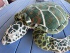 Giant Sea Turtle Plush Pillow Jumbo Realistic 29    2127 Melissa And Doug Stuffed