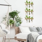 Wall Hanging Propagation Station With Wooden Stand   9 Glass Test Tube Vases