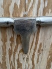 Polished Aluminium Steer Bull Wall Sculpture Horns 38    Cowboy Rustic Decor Rodeo