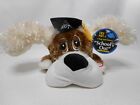 Dan Dee 2007  schools Out  Graduate Dog Animated Sings And Dances 9  Hat Diploma