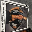 Autographed Ddp Wwe Elite Legends Series 5 Figure Diamond Dallas Page W 8x10 Pho