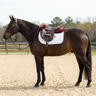 Half Pad For Saddle Correction Breathable  Non-slip  Durable Quilted Design With