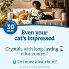 Clean Care Crystal Cat Litter  Febreze Freshness Scent  8 Lb Bag