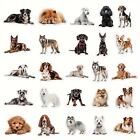 50pc Cute Dog Breed Clear Sticker Pack Phone Case  Laptop  Scrapbook  Journaling