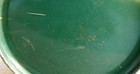 Vintage Coleman Model 500a Camp Stove  6-60