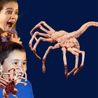 Alien Facehugger Prop Toy Xenomorph Facehugger Halloween Toys Chestburster Props