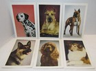 Dogs By Waxman  Esky-card Set  5  Set Of 6 Dog Cards From Esquire Magazine
