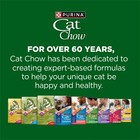 2p Purina Cat Chow Indoor Healthy Weight And Hairball Dry Cat Food Wth Chicken