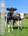 5ft X 328ft Galvanized Wire Fence   Farm Pasture Fencing Poultry Netting Cattle