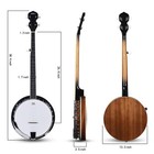 Banjo 5 String Full Size Acoustic Electric Banjoes Set Remo Drum  Geared 5th    