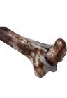 2 Pack 10  Nylon Bone Dog Chew Pet Toy For Aggressive Chewers  Strong   Tough