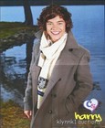 Harry Styles 2 Posters Centerfolds Lot 2428a Selena Gomez On The Back