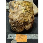  6lbs 5oz  Blue Forest Wyoming Petrified Wood W  Crystallization   Botryoidal