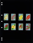  13 80 Scott Value - 1993 Nevis Flowers Caribbean Wildlife Cv Mnh Nh Umm