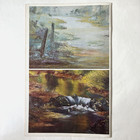 Susan Scheewe Painting Landscapes Instruction Book     Oil Techniques   Patterns