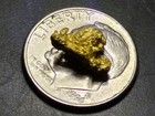 Natural Gold Nugget Specimen  Of 1 10gm From Papua New Guinea 