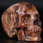 3 5  Petrified Wood Carved Crystal Skull  Realistic  Crystal Healing