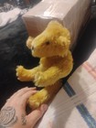 Antique Vintage Steiff Mohair Teddy Bear