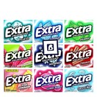 Assorted Chewing Gum  Variety Pack Of Extra Long Lasting Flavors  Sugar Free    