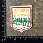 Vintage Nemours Coat Of Arms Crest France Travel Souvenir Patch 1960   s Felt