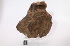 Canyon Diablo Iron Meteorite 942 5 Grams 4 Inches  Killer Piece  Natural Patina