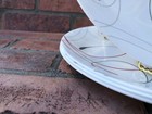 Corelle Splendor Dishes Vitrelle Large Dinner Plates Set Of 4