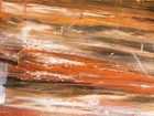 Big  210 Million Year Old  Polished Petrified Rainbow Wood Fossil Arizona 1960gr