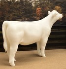 1 9 Traditional Show Heifer Clubby Calf Model 3d Print For Breyer Horses Cattle