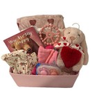 Baby Shower Gift Basket For Girl   New Mom Blanket Plush Book Outfit Essentials