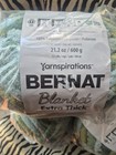 Bernat By Yarnspirations Blanket Extra Thick Yarn Jumbo 72 Yards Forest Sage