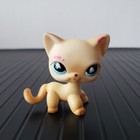 Littlest Pet Shop Lps 816 Messiest Cream Siamese Splash Blue Eyes Rare Cat Kitty