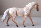 Peter Stone Model Horse Tate   T-rex Dinosaur Bones Deco Pony - Palo Roan Glossy