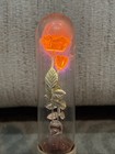 Vintage Working Aerolux Lightbulb With Lamp Illuminating Flowers And Leaves