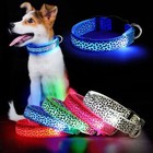 Rechargeable Led Pet Glow Collar Puppy Dog Safety Neck Harness Flashi Light Usb
