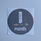 Monthly Baby Milestone Decal Stickers Set Of 12 Gender Neutral  Brand New