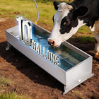 10 Gallons Automatic Livestock Water Trough Stainless Steel Larger Dog Water Bow