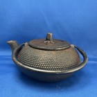 Large Teapot Nanbu Tekki Black Tetsubin Dot Cast Iron Signed Vintage Japan N06