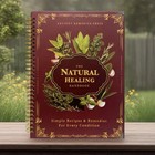 The Natural Healing Handbook Spiral Herbal Remedies Wellness Recipes Guide Gift
