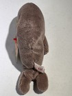 Ty Beanie Baby Jolly The Walrus Plush  7 Inch  - Mwmts Stuffed Animal Toy