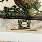 Twelve Months Of Flowers Robert Furber Framed Print March April May June July