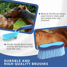 Kit De Aseo Para Caballos  9 Uds   Cepillos Para Caballos  Aseo Equino