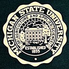Vintage 1968 Michigan State University Spartans Football Pennant  Wow 