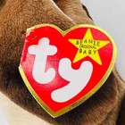 Beanie Babies Wise The Owl  - Rare Collectible-six Errors-see Description-new
