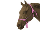 Horse Rope Halter With 7 Ft Lead Rope  Handmade Horse Halter  Free Shipping