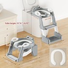 2in1 Toddler Potty Training Toilet Seat Foldable Potty Seat W steps Ladder Stool