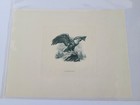 Bep Bureau Of Engraving Printing Intaglio Print Program B72 Green Eagle On Rock 