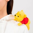 Tokyo Disney Resort Winnie The Pooh Plush On Shoulder Popular Disney Parks Clip
